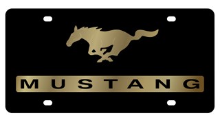 Ford 05-Current Mustang
